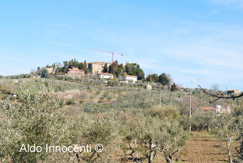 MONTEBENICHI: PANORAMA 2' IMMAGINE